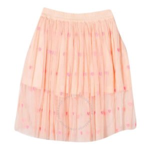 Girls Hearts Embroidery Tulle Skirt