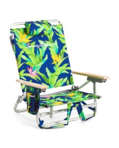 Striped Beach Chair