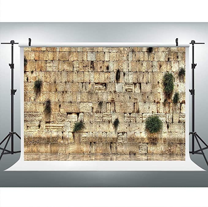 Image of Western Wall Jerusalem City 9x6FT
