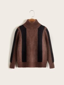 Boys Turtleneck Color-block Sweater