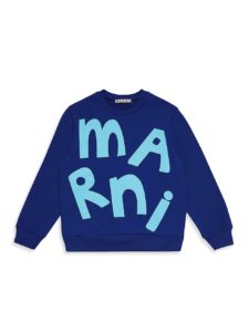 Little Boy's & Boy's Logo Crewneck Sweater
