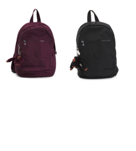 Nylon Challenger School Backpack