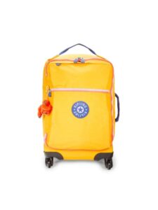 20-inch Darecey Spinner Suitcase