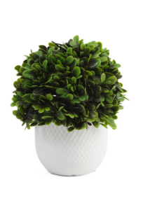 9in Topiary Ball in Planter