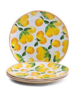 Indoor Outdoor Coupe Dinner Plates