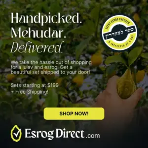 Image of sale on $10 off Your Lulav & Esrog Set from Esrogdirect