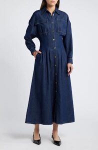 Nipped Long Sleeve Twill Maxi Dress