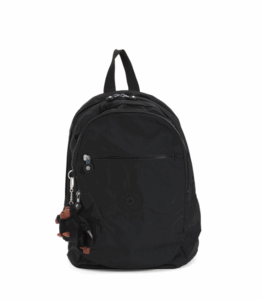 Nylon Challenger School Backpack