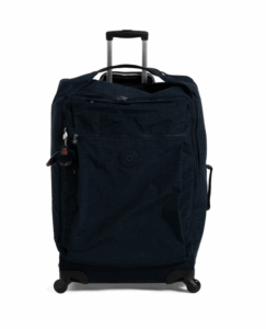 29in Darcey Softside Spinner