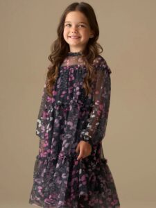 Blue Cara Printed Mesh Dress