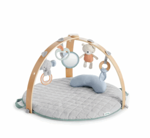 Ingenuity Cozy Spot Reversible Duvet Activity Gym with Wooden Toy Bar