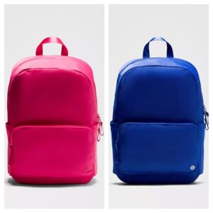 Everywhere Backpack 22l