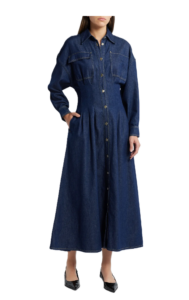 Nipped Long Sleeve Twill Maxi Dress