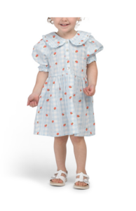 Kids Americana Strawberry Print Gingham Dress
