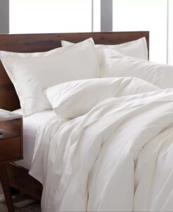 Premium 100% Cotton 300 Thread Count 2-piece Duvet Cover Set, Twin