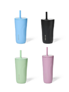 20 Fl Oz Stainless Steel Tumbler with Straw
