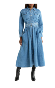 The Gallop Denim Midi Dress