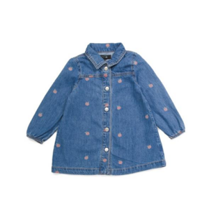 Toddler Girls Apple Shirt Dress Size 2-4