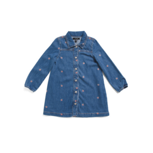 Little Girls Denim Apple Print Dress