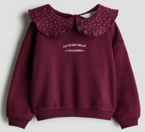 Sweatshirt with Collar