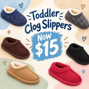 Image of sale on Toddler Jude Clog Slippers